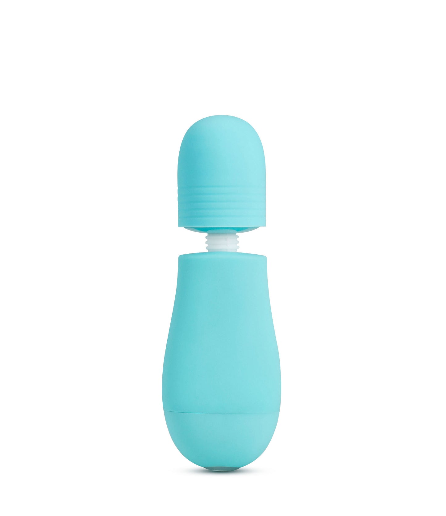 Rose - Petite Massage Wand - Blue